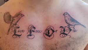 Chest pieces I did today:)