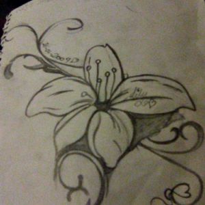 Samoan lily flower