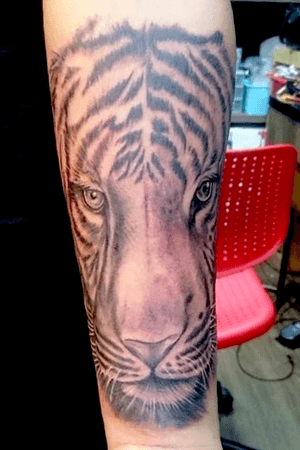 tiger portrait on forearm