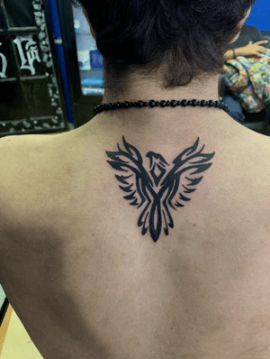 Phoenix tribal tattoo. Dm to book for sessions #phoenix #phoenixtattoo #tattooplacement #blackandgreytattoo #blackandwhite #black #backtattooing #blacktattoo #simpletattoo #simpletattoos #backtatts #inked #inkedupguys #inkedgirl #tatts #tattedup #tatted #inkedup #tattoo #tattoos #tattooideas #tattoomodel #tattoos_of_instagram #tattooed #tattoodesign #caironightlife #giza #tattoostyle