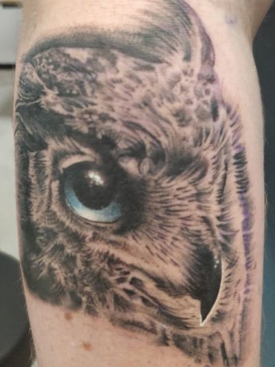 Black and gray Owl 