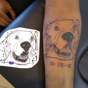 Dog sketch tattoo blackwork