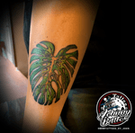 Monstera Leaf Tattoo