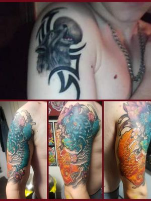 Cover up. Transforming koi