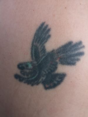 The 22 year old eagle on my shoulder