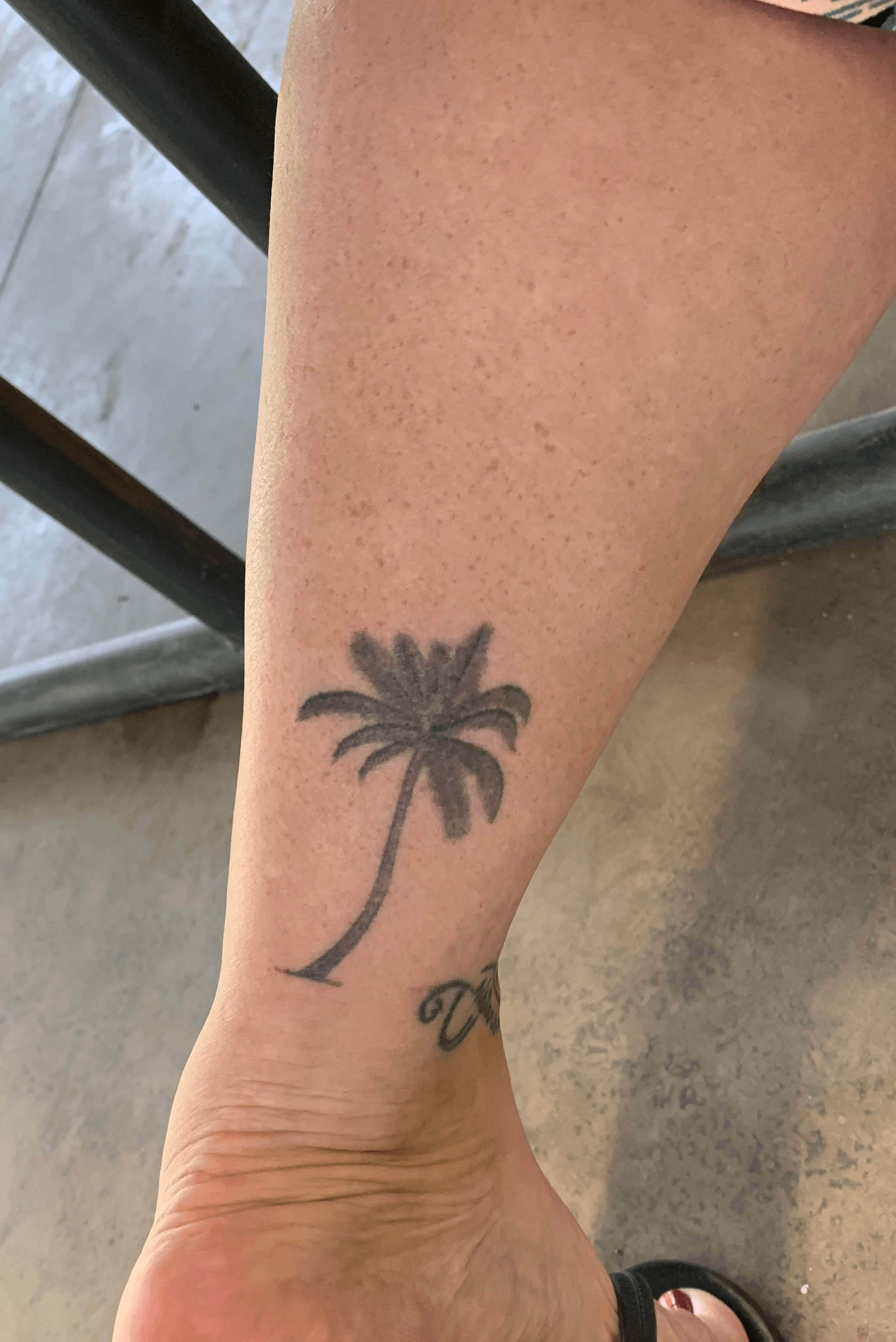 Blackwork palm tree tattoo on the arm  Tattoogridnet