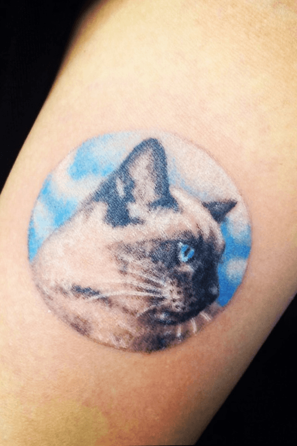 Tattoo from Red Cat Tattoo