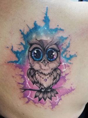Custom owl watercolor