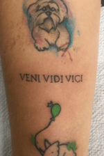 #venividivici #vimvivenci #latin #latim #juliocesar