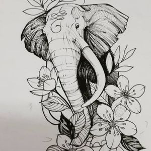 Elephant available 