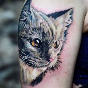 realism color cat tattoo