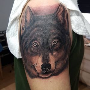 #tattooart #wolftattoo #tattoo 