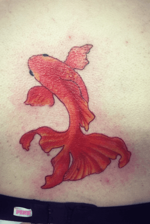 Young lady’s first tattoo. Fancy goldfish. 