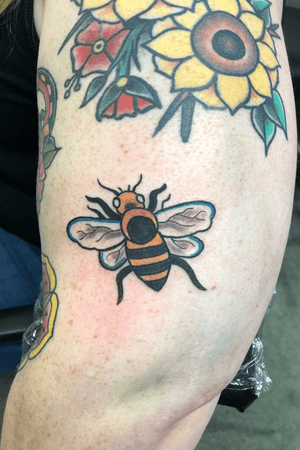 Traditional bee