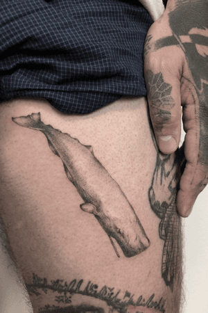 For  #matteonangeroniMy part of the deal 🙏🏻Info sourya.ttt@gmail.comUsing @sunskintattoo @pantheraink @kwadron @hustlebutterdeluxe -#singleneedle #slimneedle #finelinetattoo #blackandgrey #smalltattoo #wildlife #whale #tattoo #illustration #tattooist #sealife #ink #inked #tattoocollector #realistictattoo #animals #inked #spermwhale #balena #whaletattoo #inkstinctsubmission #nature #art #blackandwhite #tattooed #southcitymini