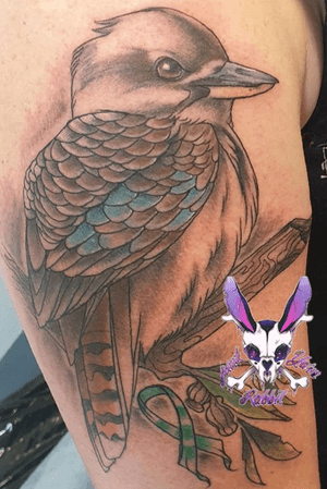 Kookaburra i drew and got to tattoo on Stacey. I love tattooing/drawing Australian animals/flowers.                                                          Follow me on:                                                                  Instagram - https://www.instagram.com/junkyardrabbit/                                                            Twitter - https://mobile.twitter.com/junkyardrabbit?lang=en