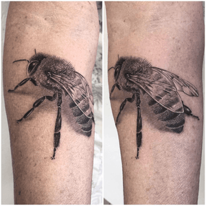 @realistic.ink #photooftheday #tattoooftheday #tattoo #tatouage #realisticink #realistictattoo #realism #realismtattoo #bee #beetattoo #abeille #abeilletattoo #dot #dotwork #dotworktattoo #dottattoo #stippletattoo #stippling #dotworker #petitspoints #blackandwhitetattoo #blackandgreyink #blackandgreyrealism #blackandgrey #lausanne #lausannetattoo #tattoolausanne #fann_ink