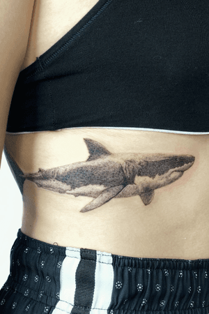 Shark Realism