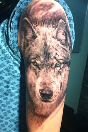 Wolf portrait realismPlease Comment below. if you like our work!! Tell us your thoughts below or ask any questions.For info or appointments dm or +31626120203—————————————.....#newpost #tat2holics #tattoo #tattooart #tattoojobs #tattooaddict #tattooartist #tattoodesign #tattooskulls #tattoolife #tattoostudio #denhaag #tattoomag #tattooguestspot #tattoomagazine #tattoojunkies #tattoodrawings #realism #tattooblackandgrey #tattoocollours #eternal #kwadron #ink #blackandgrey #tattoowork #tattooink #tattooaddicts #tattoolover #tatoeage #tattooportait