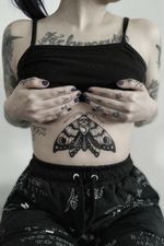 Moth / polilla tattoo