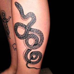 Fine detailed snake