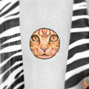 Nº865.1 #tattoo #tattooed #ink #inked #littletattoo #cat #cattattoo #kittykitty #circle #face #catlovers #cats #stencilstuff #radiantcolorsink #hummingbirdcartridges #fkirons #spektrahalo2 #bylazlodasilva