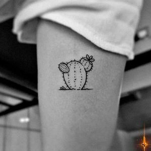 N°915 🌵 @areyoucereals 🌵 #tattoo #littletattoo #tattooed #ink #inked #girlswithtattoos #madeinmexico #PlayadelCarmen #freehand #freehandtattoo #cactus #cactustattoo #mexicancactus #cactaceae #bylazlodasilva