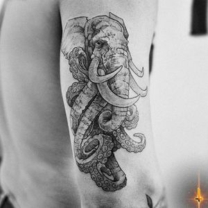 Nº810 ELEPHTOPUS 🐘🐙 #tattoo #tattooed #ink #inked #boyswithtattoos #elephant #elephanttattoo #octopus #octopustattoo #tentacles #tentaclestattoo #blackwork #blackworktattoo #stencilstuff #dynamiccolor #dynamicink #eztattooing #ezcartridge #cheyennetattooequipment #hawkpen #bylazlodasilva Based and inspired on another design.