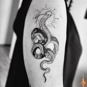 Nº866 #tattoo #tattooed #ink #inked #snake #snaketattoo #snakes #flower #flowertattoo #floral #floraltattoo #stencilstuff #dynamiccolor #dynamicink #dynamiccolorco #hummingbirdcartridges #fkirons #spektrahalo2 #bylazlodasilva