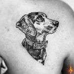 Nº864 #tattoo #tattooed #ink #inked #portrait #portraittattoo #dog #dogtattoo #doglover #doglovers #stencilstuff #dynamiccolorco #dynamiccolor #dynamicink #fkirons #spektrahalo2 #hummingbirdcartridges #bylazlodasilva