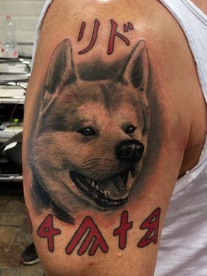 @westend.tattoo_wien #tattoo #wien tattoo #dog tattoo #dog face  tattoo #armtattoo #realism  tattoo #dog love tattoo #realistic tattoo