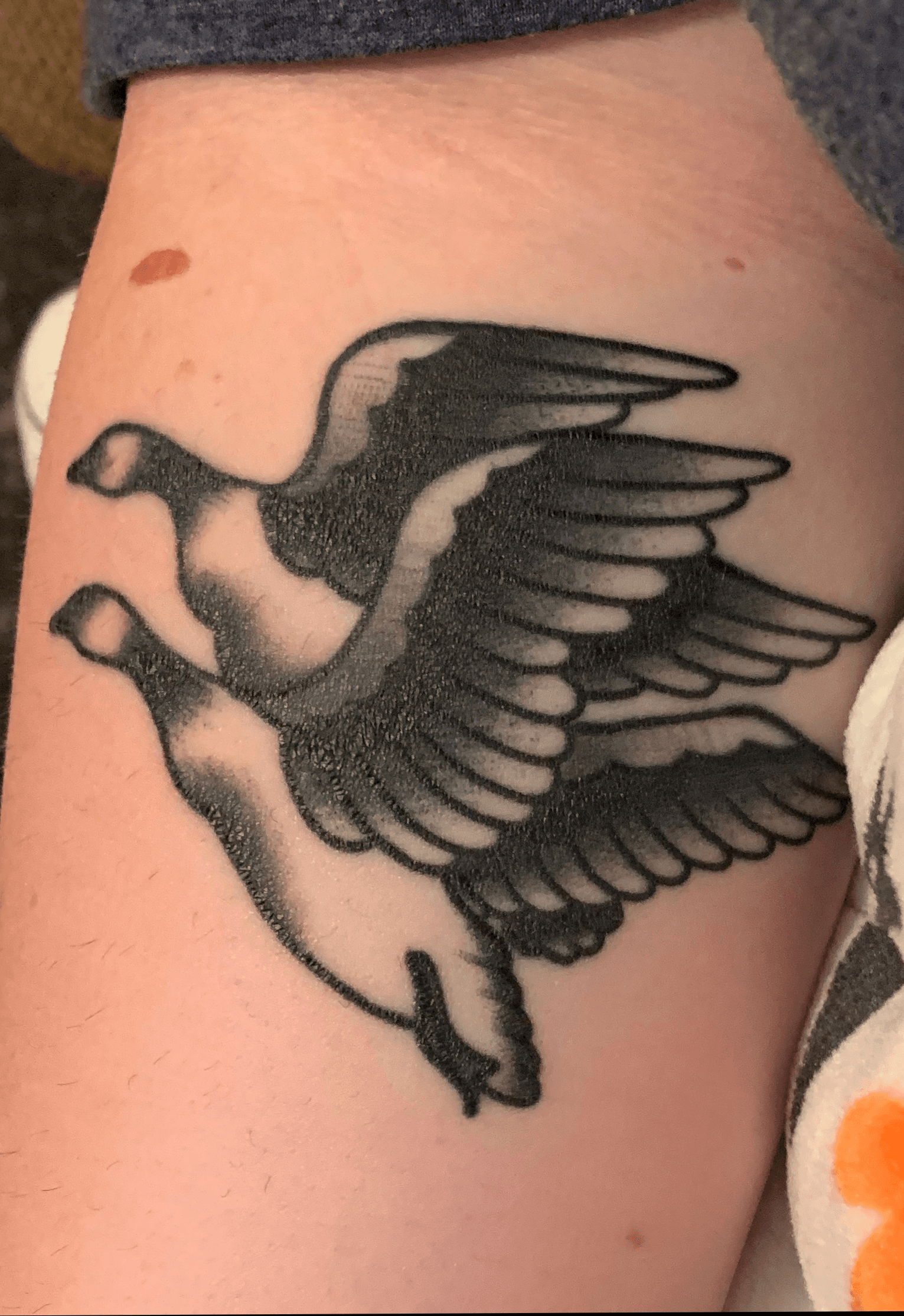 60 Goose Tattoo Ideas For Men  Geese Designs  Goose tattoo Traditional  tattoo Traditional tattoo inspiration