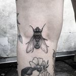 #totemica #tunguska #black #fly #housefly #insect #flyonthewindscreen #tattoo #bukertattoo #breda #netherlands #blackclaw #blacktattooart #tattoolifemagazine #tattoodo