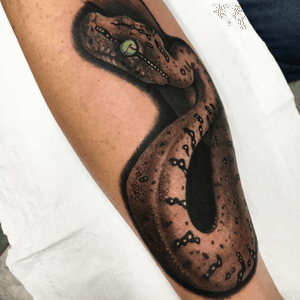 Snake - serpente