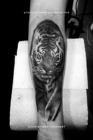 First session on Joseph’s walking tiger. Start to his sleeve. 