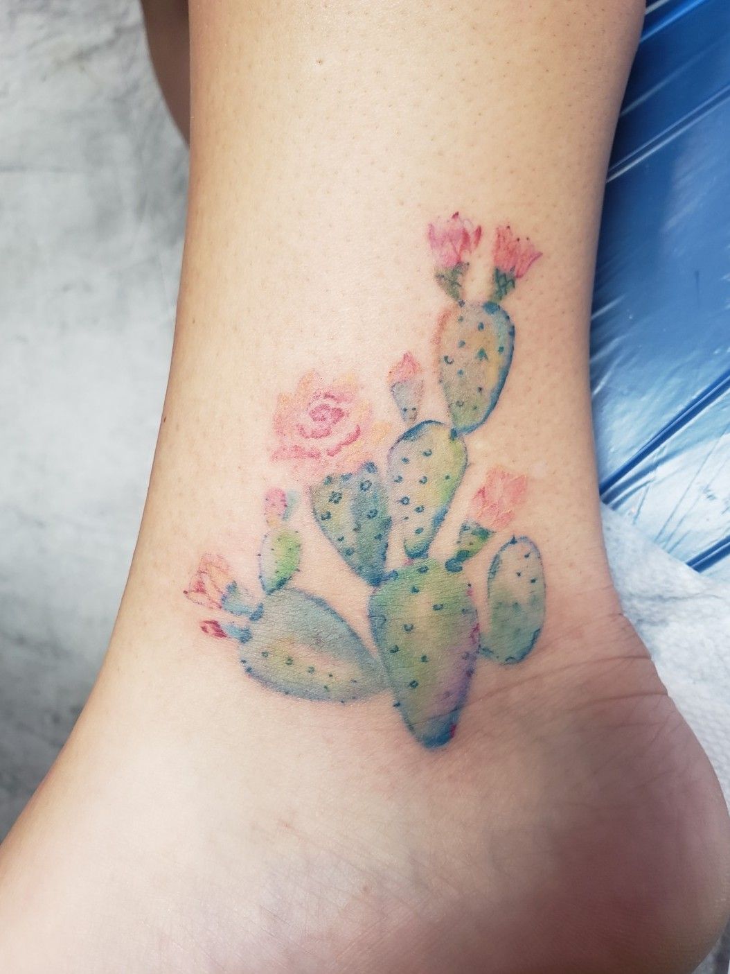 Image result for prickly pear cactus tattoo  Cactus tattoo Tattoos  Tropical tattoo