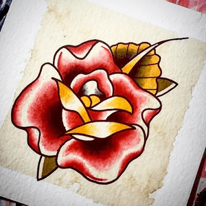 Traditional rose