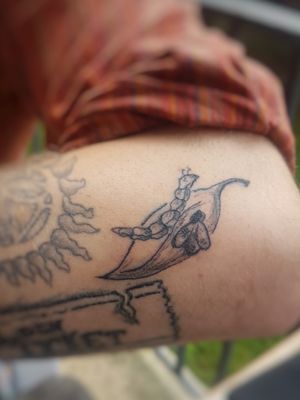 Small beetle tattoo#naturetattoo #beetletattoo #sketchtattoo #blackngreytattoo #illustrative #natureinspiration #hamburg #hamburgtattoo #tattooapprentice #sketchy #sketchytattoo #sketchstyletattoo 