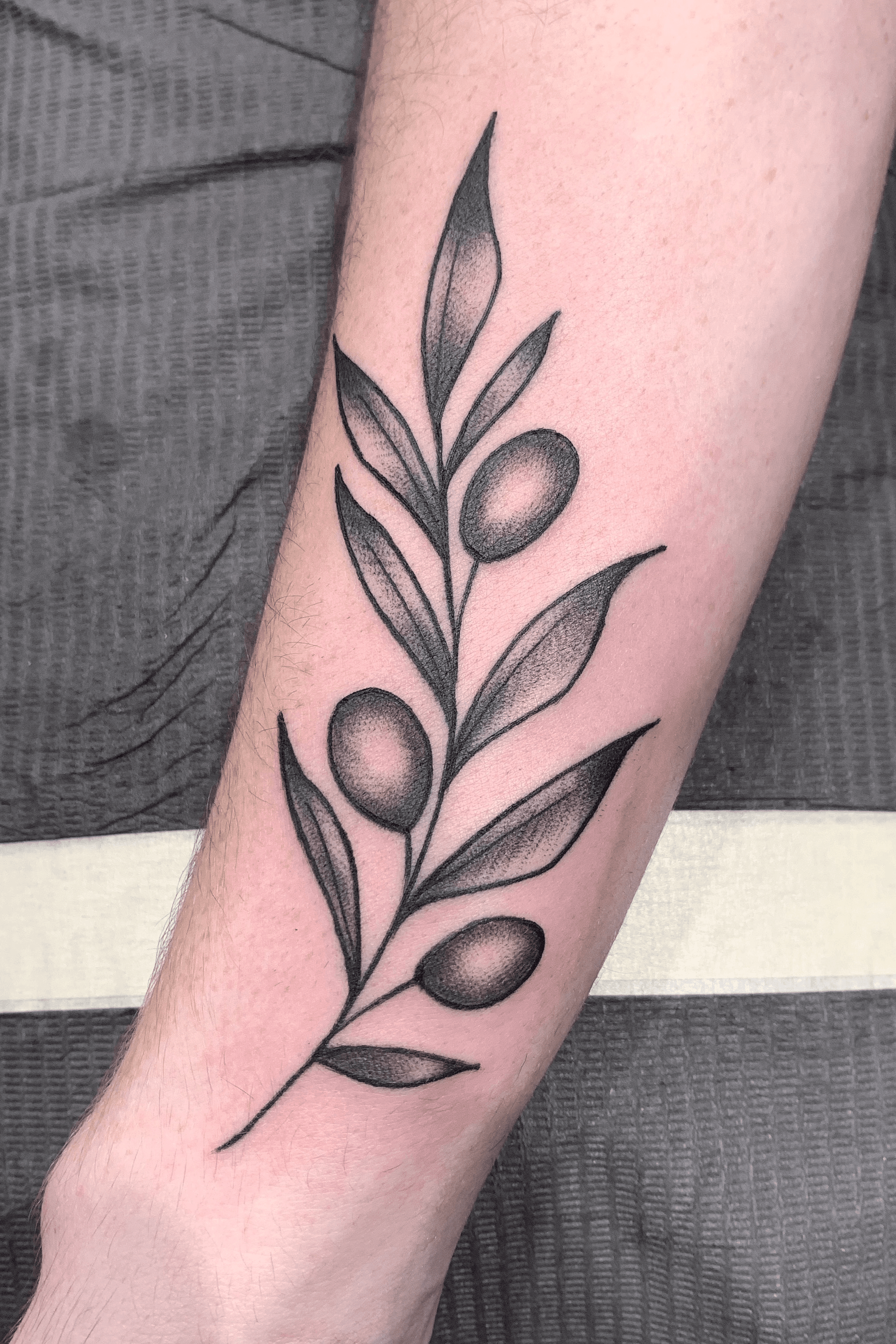 Finally got a hang on best sticking angles so I can tattoo more  efficiently 4inch ish olive branch using 7rl and 5rl Took about 35  hours Instagram artgalleryoflucy  rsticknpokes