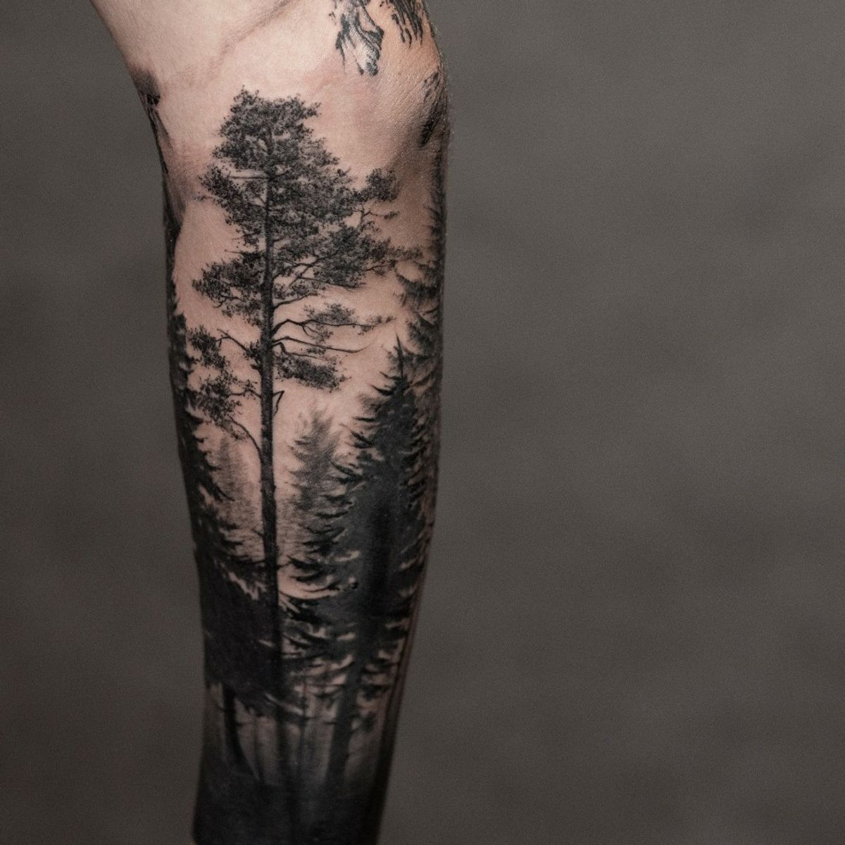 Tattoo uploaded by LoonyGerard • #forest • Tattoodo