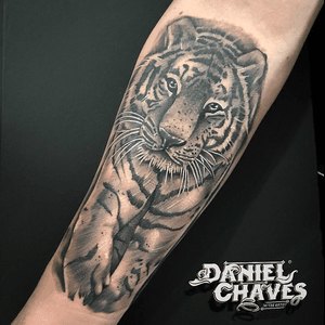 Tiger by Dani #tiger #blackandgrey #realism #arm #shading #blackandgreytattoo #blackAndWhite #animal 