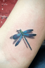 Dragonfly! #dragonflytattoo #3dtattoo #staugustinetattooartist 