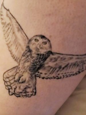 Snow Owl, Lance Smith @ Randy Adam's, Ft. Worth, TX (now in Portland, OR)