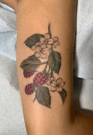 Color illustrative raspberry 