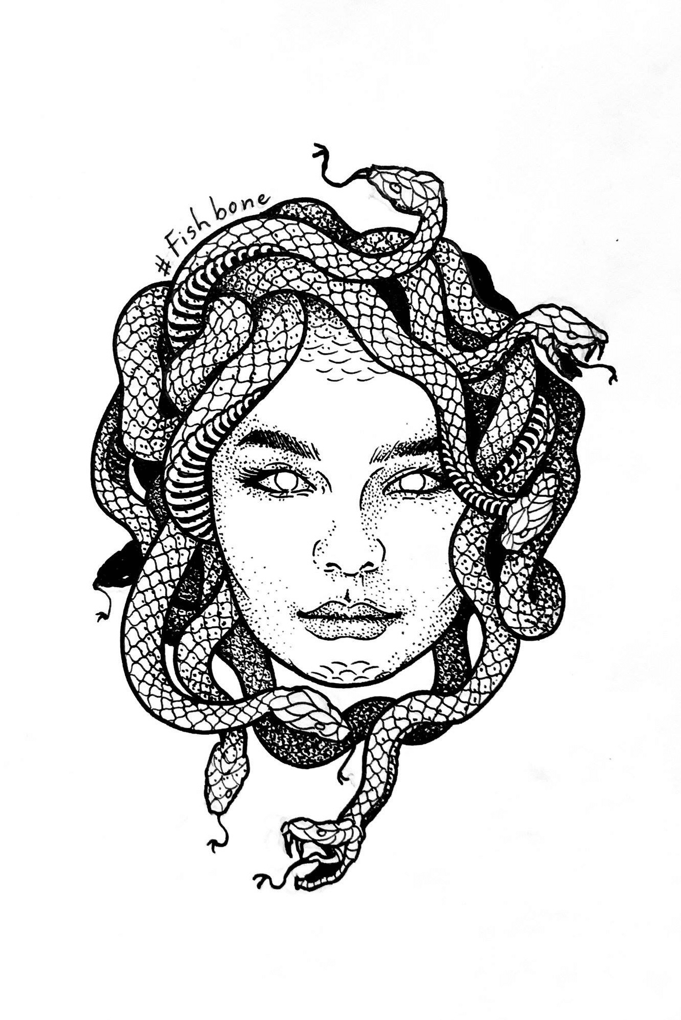 sketch, medusa gorgon, snake girl