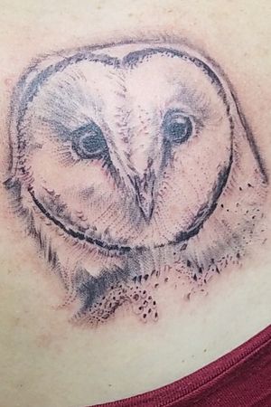 Barn Owl, Artist - Lance Smith @ Randy Adam's in Ft. Worth, TX (moved to Portland, OR)