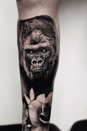 ✖️Gorilla✖️ check my Instagram for more work! @ikb_ink #tattoo #gorilla #gorillatattoo #animal #animals #animaltattoo #realistic #blackandgrey