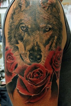 Healed wolf and fresh roses. #wolftattoo #rosetattoo #halfsleeve #blackandgreytattoo #colortattoo #redroses #wildlifetattoo 