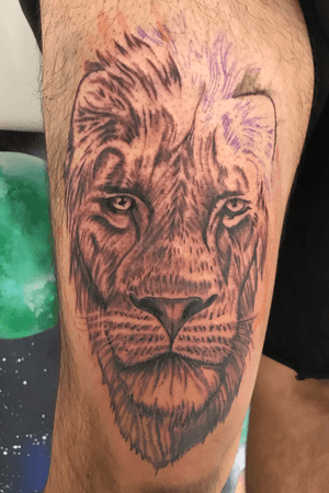 First session on this lion can’t wait to finish 