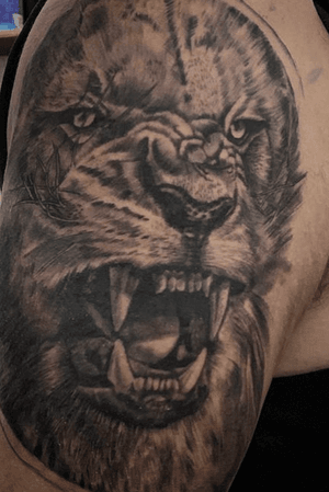 Lion Tattoo #liontattoo #tattooartist @sadidgarcia